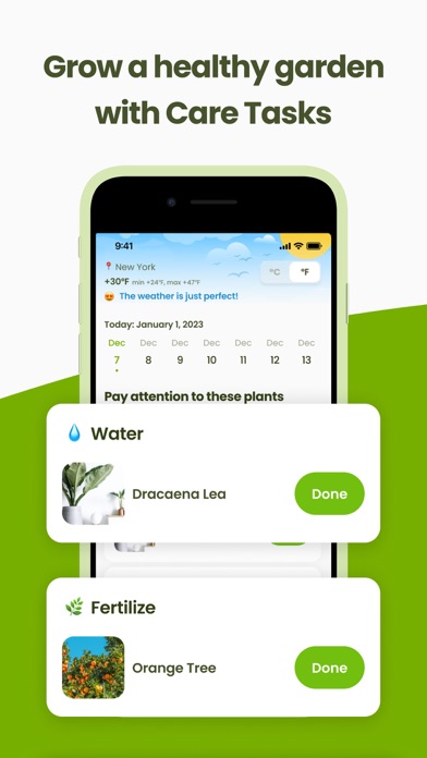 Plant Identifier & Care: Ficus screenshot 5