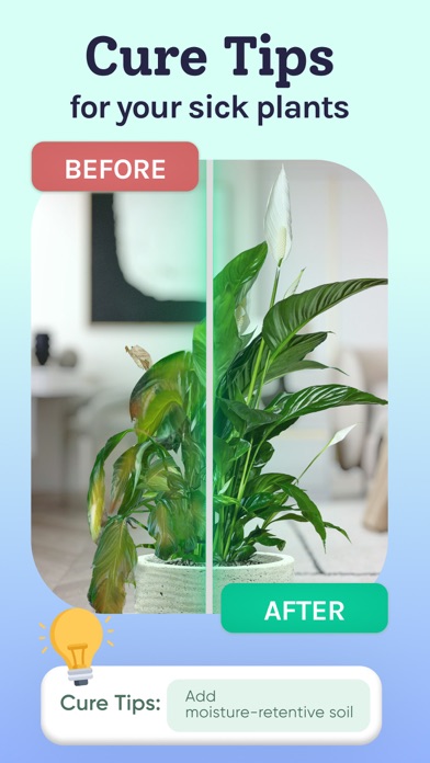 Plant Identifier, Care: Planty screenshot 4