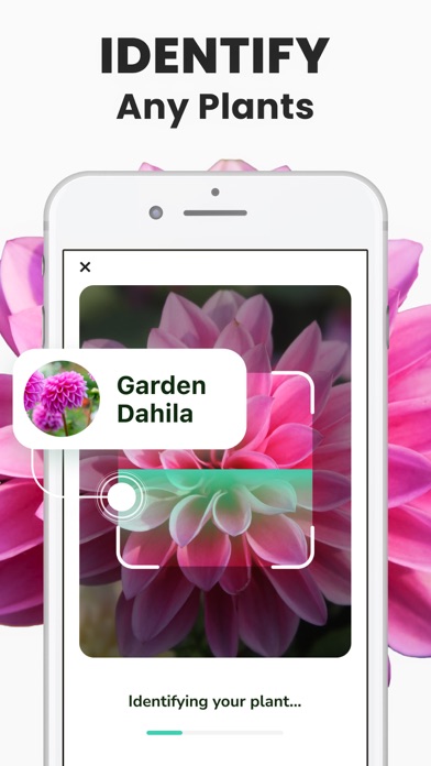 Plant Identifier - PlantMe screenshot 5