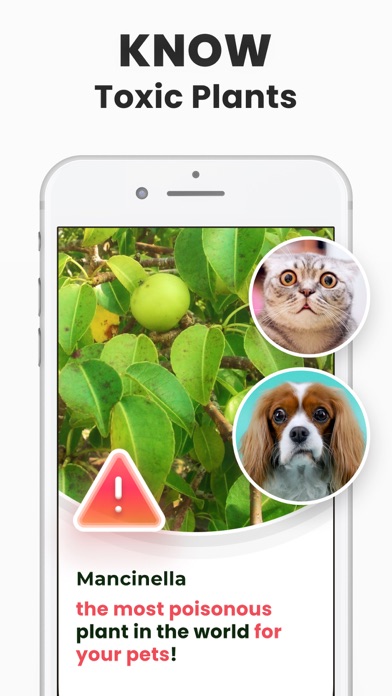 Plant Identifier - PlantMe screenshot 2