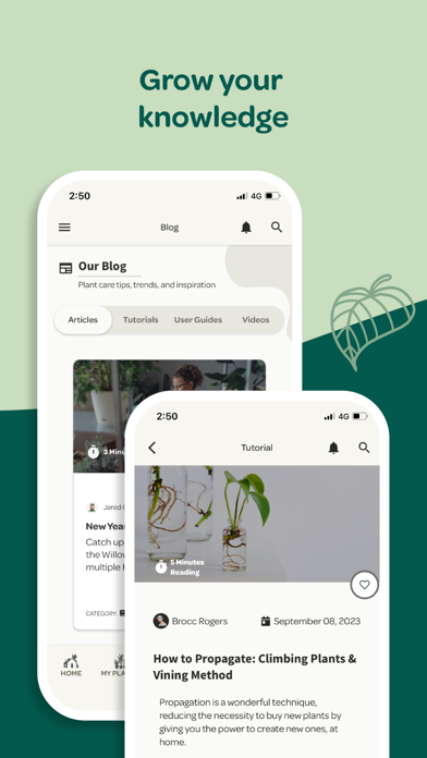 Plant with Willow screenshot 1