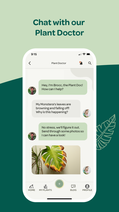 Plant with Willow screenshot 2