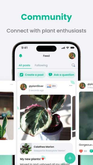 PlantIn: Plant Identifier・Care screenshot 2