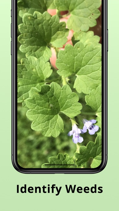 Plantion - Plant Identifier screenshot 3