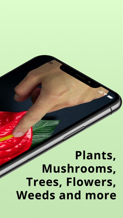 Plantion - Plant Identifier screenshot 5