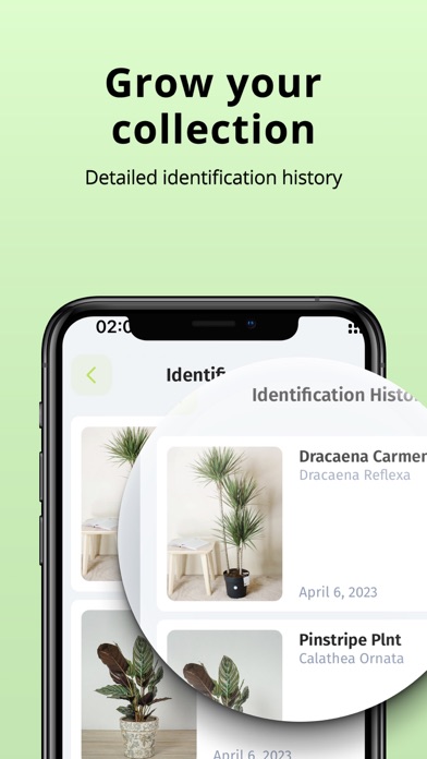 Plantion - Plant Identifier screenshot 1