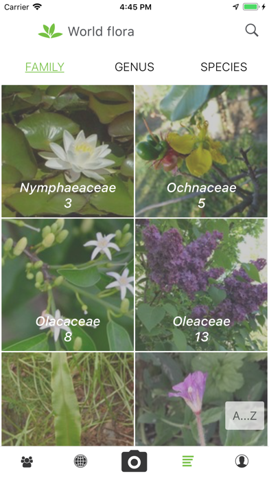 PlantNet screenshot 2