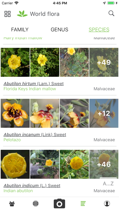 PlantNet screenshot 3