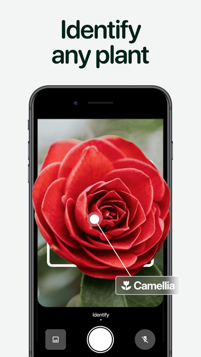 Planto: Plant Identifier Care screenshot 7