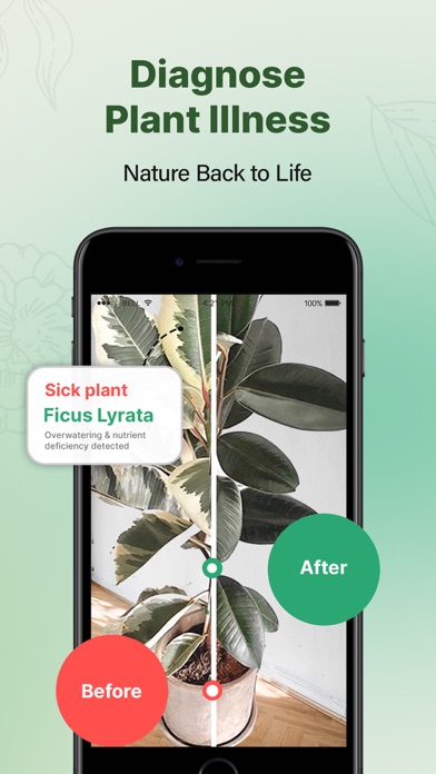 PlantOn - Ai Plant Identifier screenshot 4