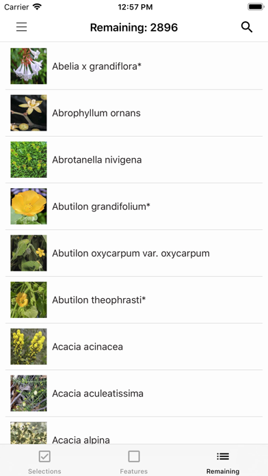 Plants of South Eastern NSW screenshot 2