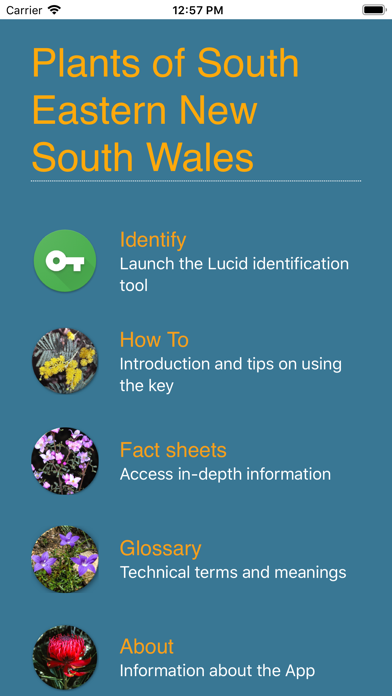Plants of South Eastern NSW screenshot 4