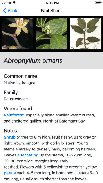 Plants of South Eastern NSW screenshot 1