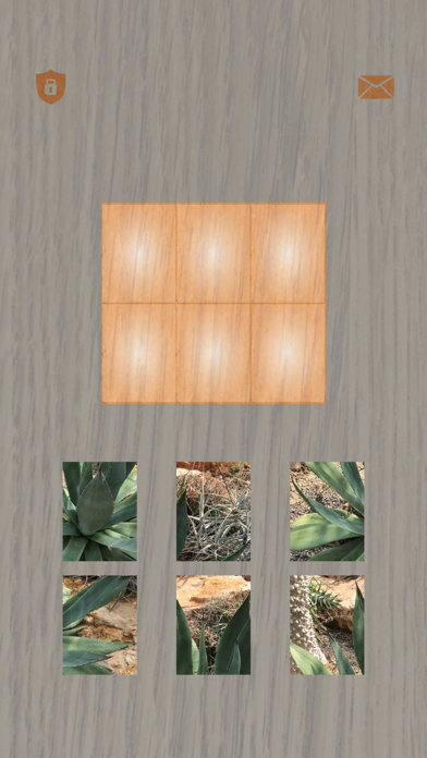 Plants: Tiling Puzzles screenshot 1