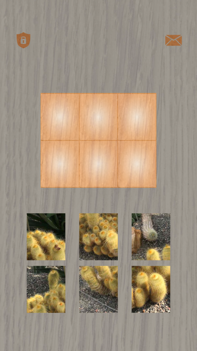 Plants: Tiling Puzzles screenshot 2