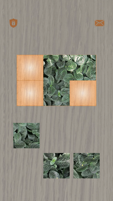 Plants: Tiling Puzzles screenshot 5