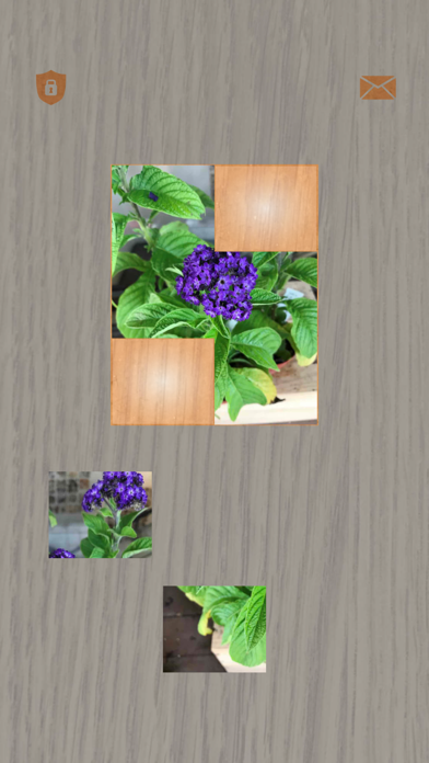 Plants: Tiling Puzzles screenshot 3