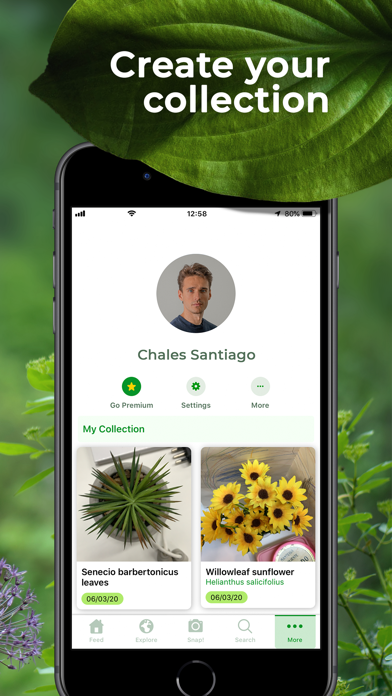 PlantSnap Pro: Identify Plants screenshot 1