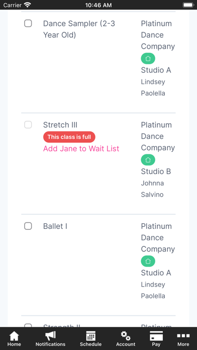 Platinum Dance Company screenshot 3