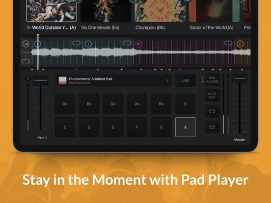 Playback screenshot 8