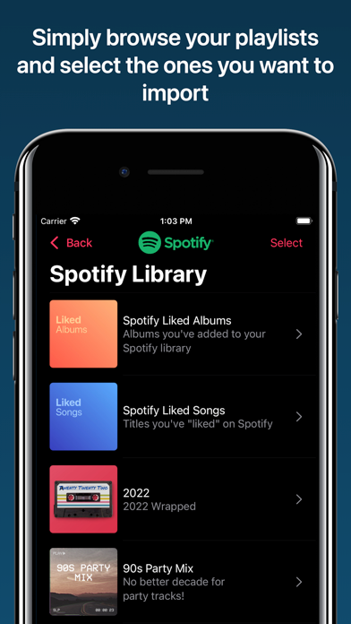 Playlisty for Apple Music screenshot 5