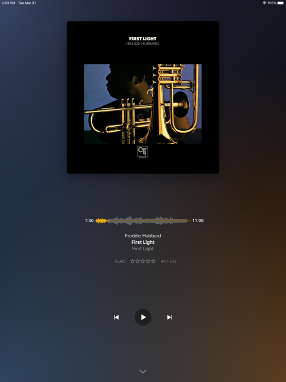 Plexamp screenshot 4