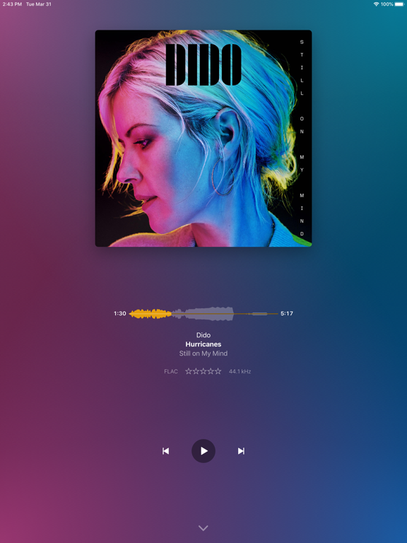 Plexamp screenshot 10