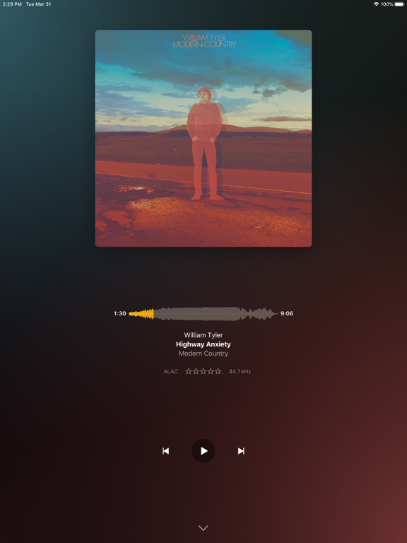 Plexamp screenshot 8