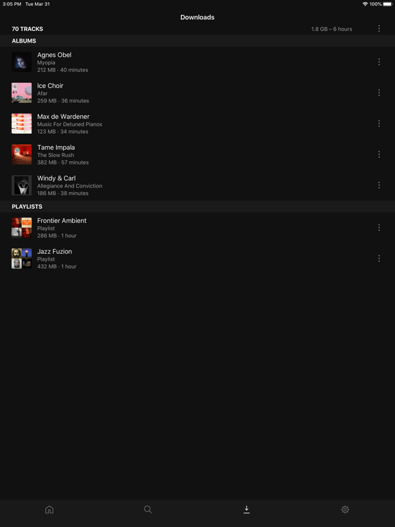 Plexamp screenshot 2