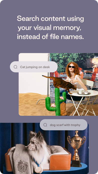 Plot — your creative hub screenshot 3