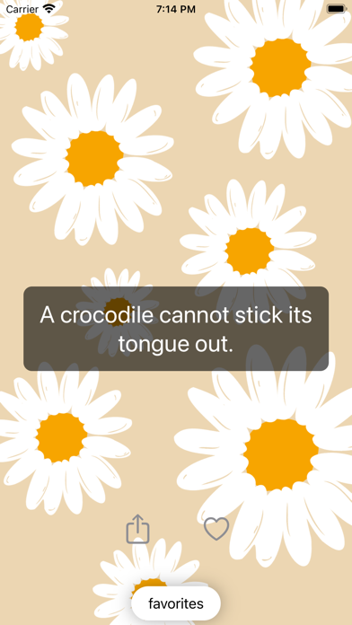 Pocket Factz screenshot 3