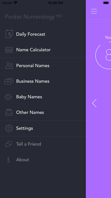Pocket Numerology screenshot 3