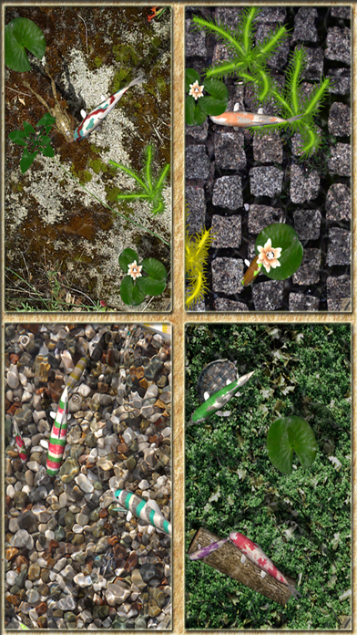 Pocket Pond 2 screenshot 3
