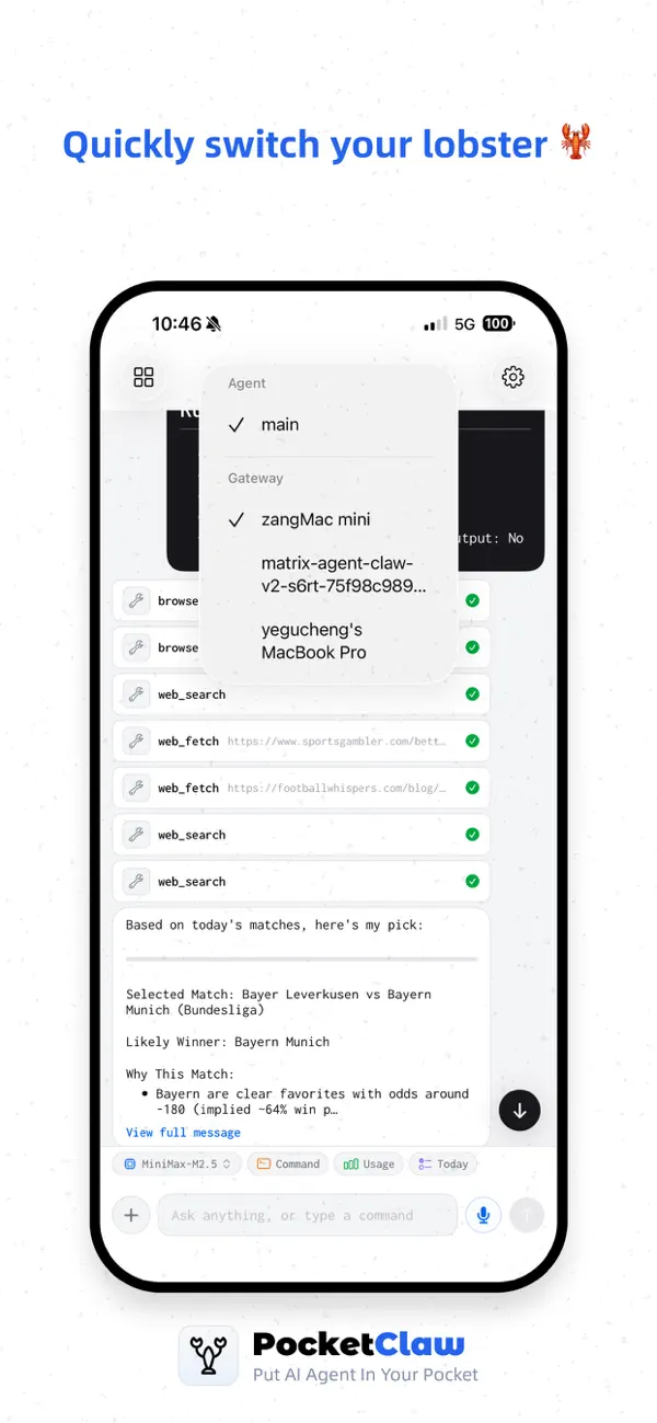 PocketClaw – AI Agent Control screenshot 3