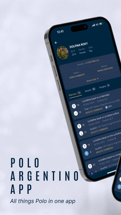 Polo Argentino screenshot 6