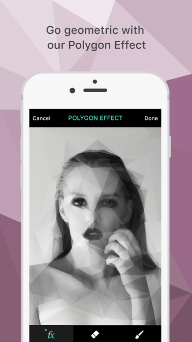 Polygon Effect - Create Low Poly Portraits and Geometric Art screenshot 5