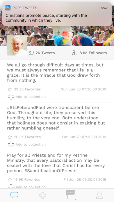 Pope Tweets screenshot 5