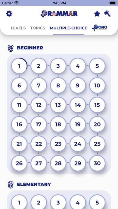 PORO - English Grammar screenshot 3