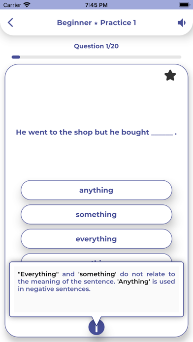 PORO - English Grammar screenshot 2