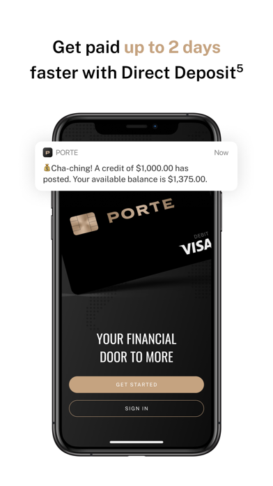 Porte: Mobile Banking screenshot 2