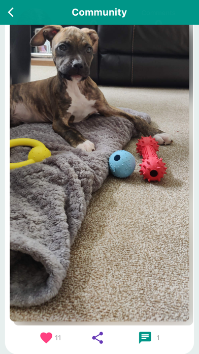 PPS - Dog Training screenshot 3