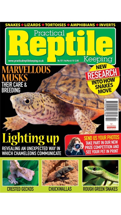 Practical Reptile Keeping screenshot 3