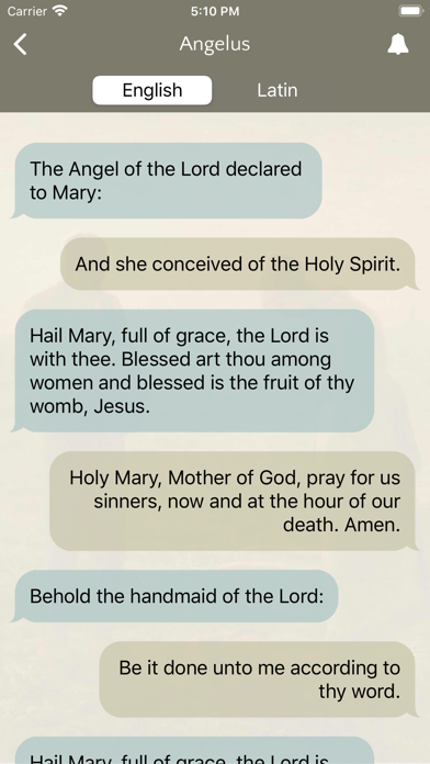 Praying the Angelus screenshot 3