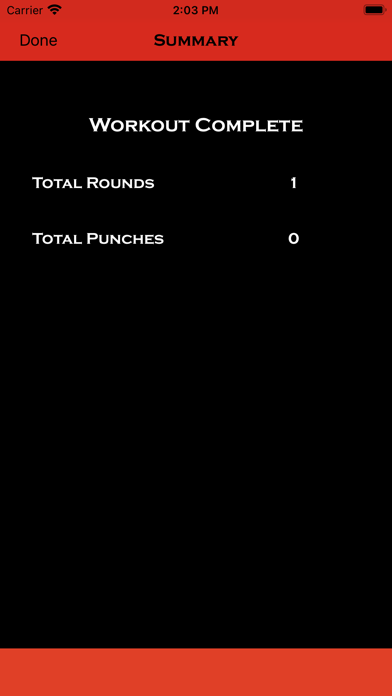 Precision Boxing Coach Lite screenshot 1