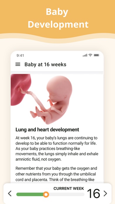 Pregnancy App. screenshot 7