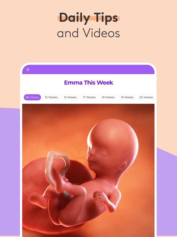 Pregnancy Baby Tracker - WTE screenshot 9