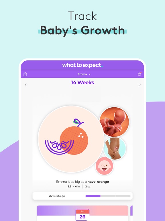 Pregnancy Baby Tracker - WTE screenshot 10