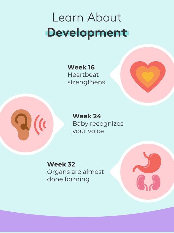 Pregnancy Baby Tracker - WTE screenshot 7
