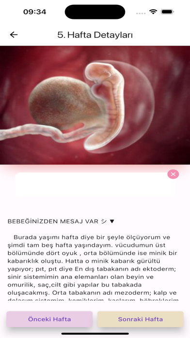 Pregnancy Tracker MYPregnancy screenshot 4