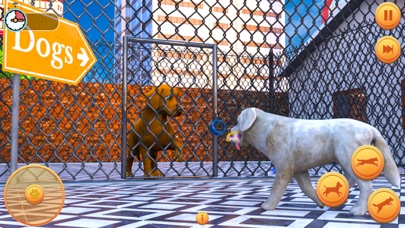 Pregnant Pet Dog Simulator 3D screenshot 2
